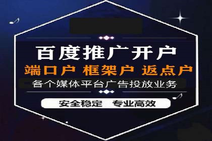 SEM专员案例：数据分析与优化